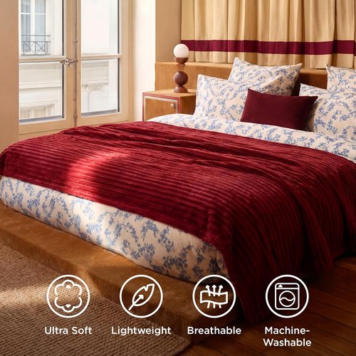 Bedsure GentleSoft Scarlet Sage Full Blanket - Cozy Soft Throw for Women | Large 84x90 Inches