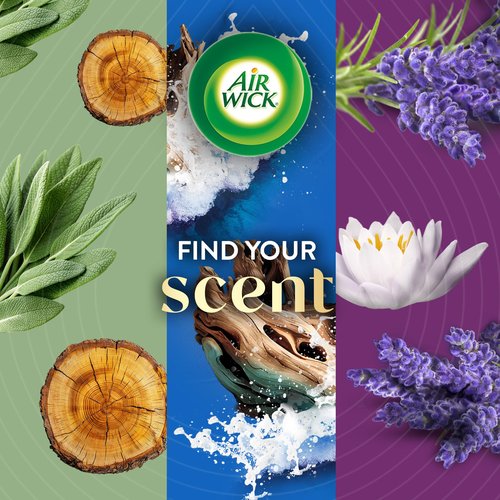 Air Wick Vibrant Plug in Scented Oil Refill, Infused with Essential Oils, Plug in Air Fresheners for Home, Winter Woods & Frosted Ivy, 5 ct