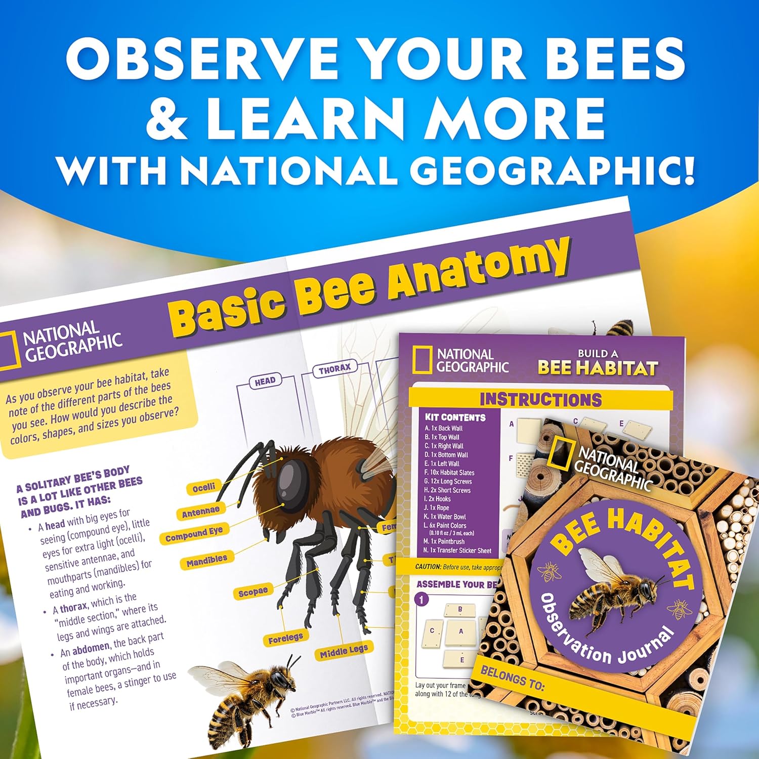 National Geographic Bee Habitat Craft Kit - DIY Mason Bee House for Kids | Outdoor Arts & Crafts Activity