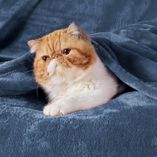 Bedsure GentleSoft Fleece Bed Blanket - Soft, Lightweight, Plush Cozy Luxury in Mineral Blue, 84x90 Inches