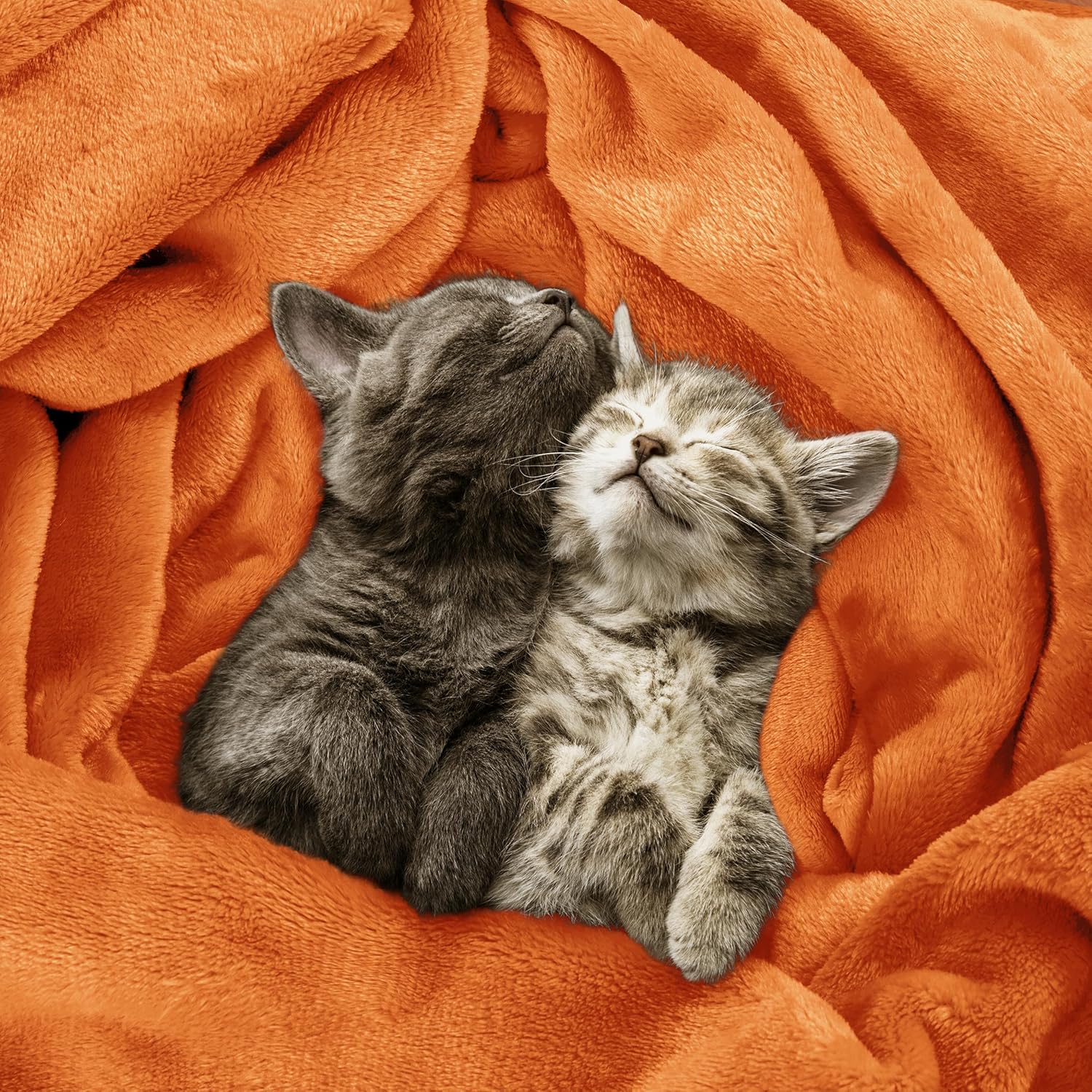 Utopia Bedding Fleece Blanket - Luxury Soft Microfiber Twin Size | Burnt Orange 300GSM (60x80 Inch)