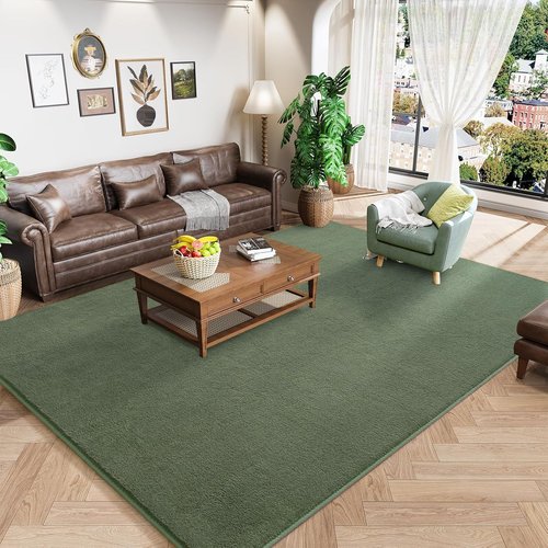 Amearea Modern Area Rug - Thickened Memory Foam, Fluffy & Washable - 4x6 Feet Sage Green for Kids & Living Room