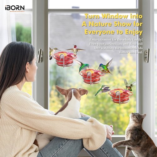 iBorn Mini Hummingbird Feeder - 3OZ Outdoor Feeder with Strong Suction Cup & Stainless Steel Base | 3 Feeding Ports