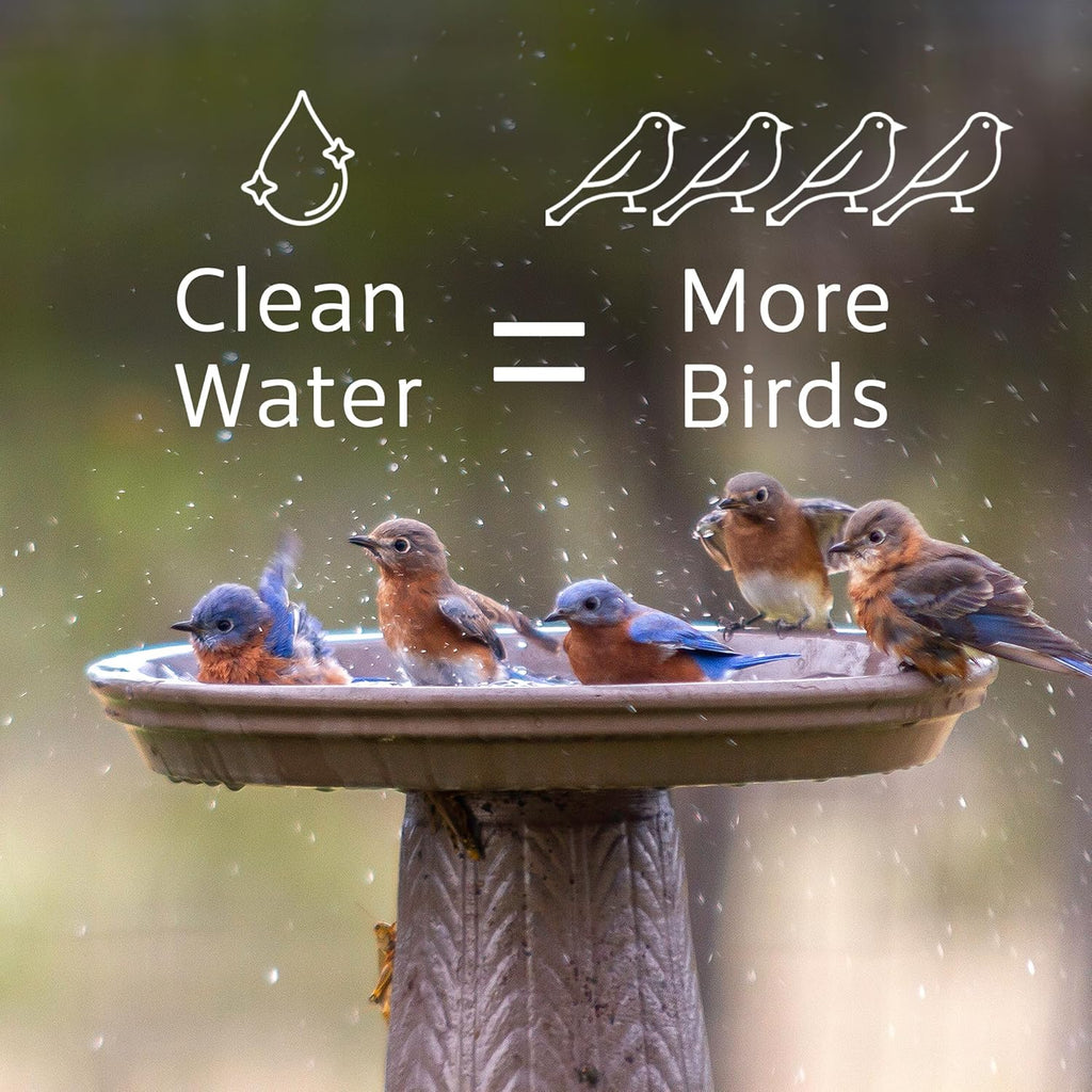 Microbe-Lift Bird Bath Cleaner - Two-in-One Natural Formula for Clear Water - 4 Oz - Safe for Birds, Fish & Frogs
