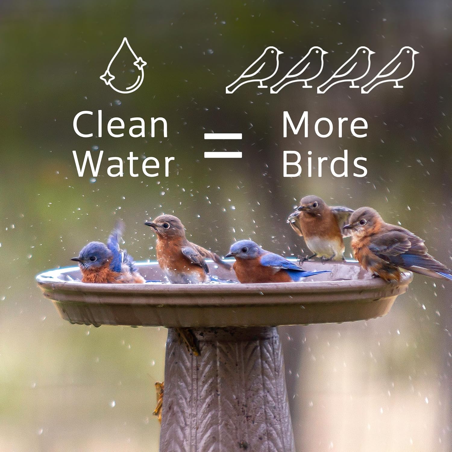 Microbe-Lift Bird Bath Cleaner - Two-in-One Natural Formula for Clear Water - 4 Oz - Safe for Birds, Fish & Frogs