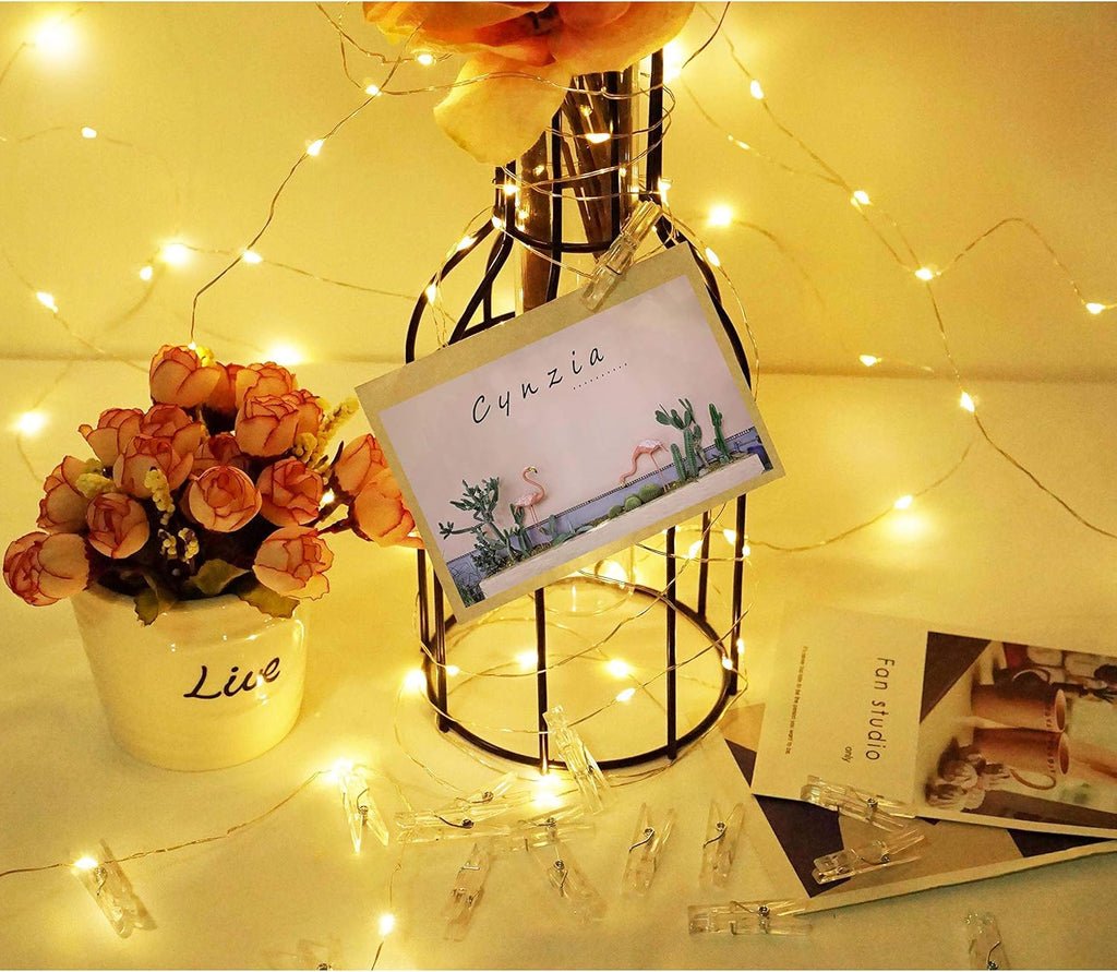 Skiennix 100 LED Fairy String Lights - USB Powered with Remote & 50 Clear Clips | Silver Wire Photo Clip Decor for Weddings & Christmas