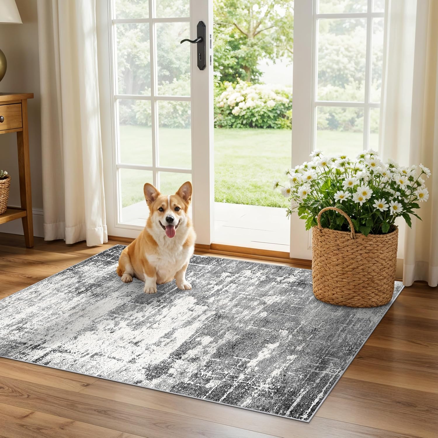 Skiennix Washable Area Rug - Abstract Water-Resistant Non-Slip Doormat | 2x3 ft, Black/Grey for High-Traffic Areas