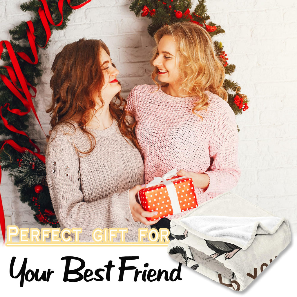Hibolen Best Friend Birthday Gifts for Women Blanket 50"x60", Friendship Gifts for Women, Birthday Gifts for Woman Friendship, Bestie/Soul Sister Present, Raccoon and Opossum Throw