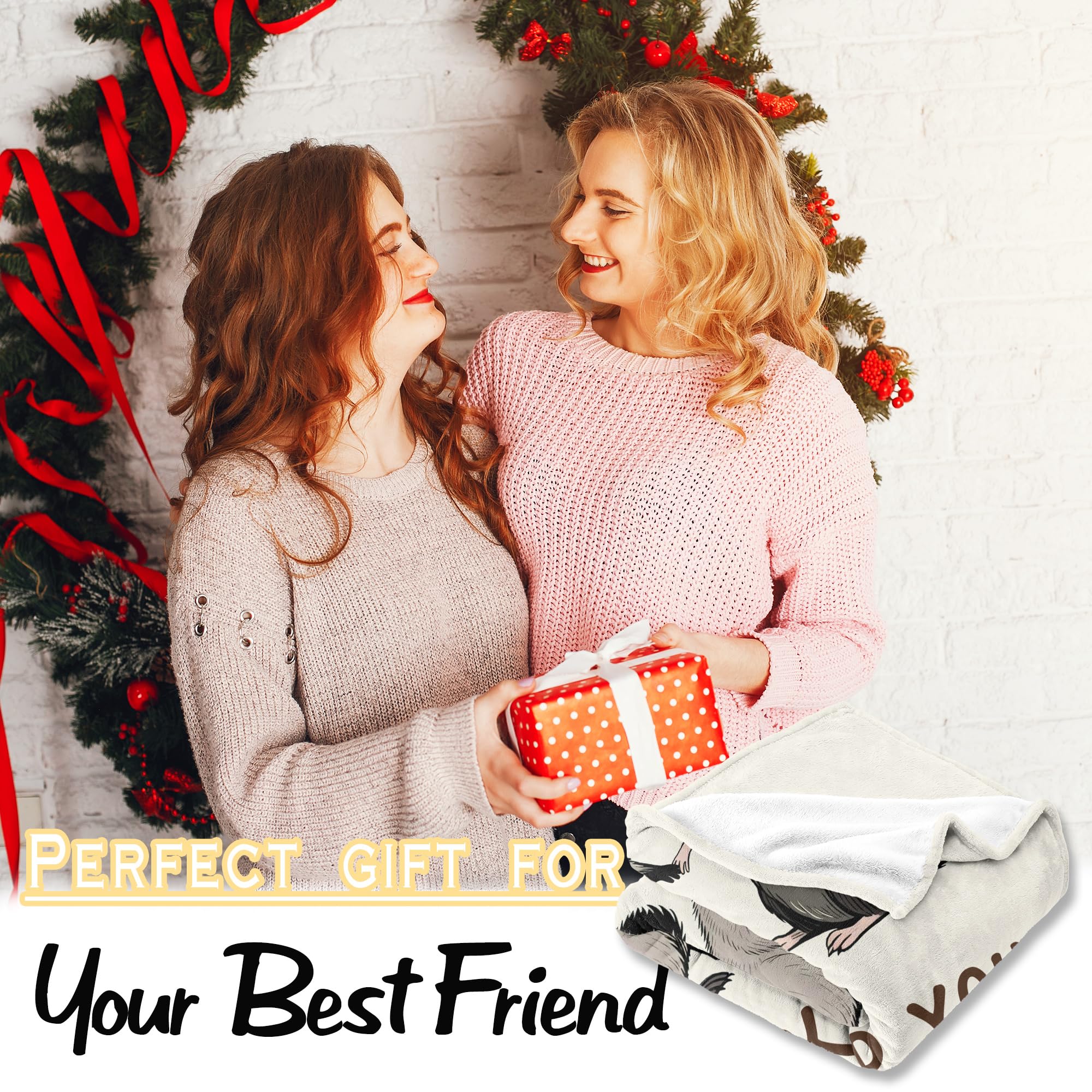 Hibolen Best Friend Birthday Gifts for Women Blanket 50"x60", Friendship Gifts for Women, Birthday Gifts for Woman Friendship, Bestie/Soul Sister Present, Raccoon and Opossum Throw