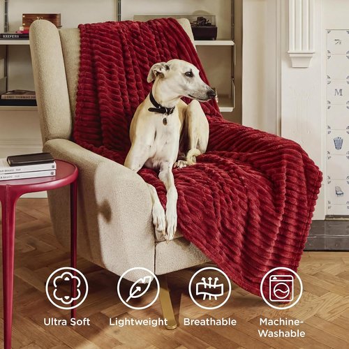 Bedsure GentleSoft Fleece Blanket - Cozy Scarlet Sage Throw for Couch, 50x70 Inches