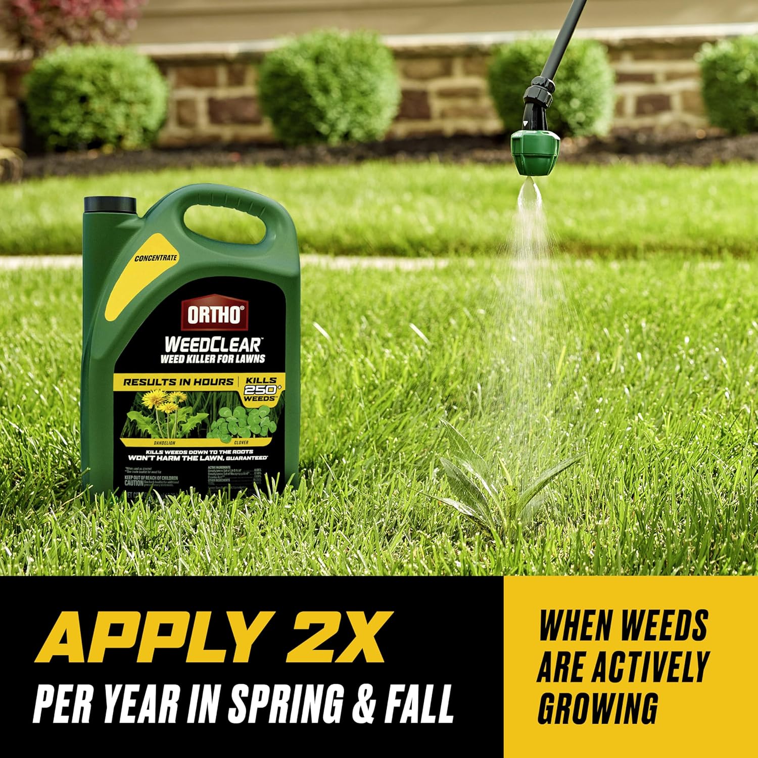 Ortho WeedClear Weed Killer Concentrate - Effectively Kills Dandelions & Clover | 1 Gallon