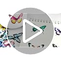 Colorful Butterfly Stickers - 56 Waterproof Transparent PET