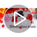 Anwyll 3000Pcs Pink Artificial Rose Petals for Wedding & Romantic Decor