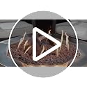 Skyflame 9-Piece Ceramic Wood Logs Set with Pine for Gas Fireplace - Realistic Fire Feature
