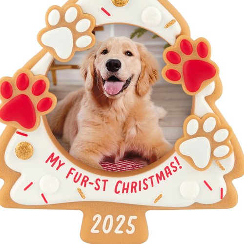 Hallmark Keepsake Christmas Ornament 2025, My Fur-st Christmas 2025 Photo Frame, Pet Gifts
