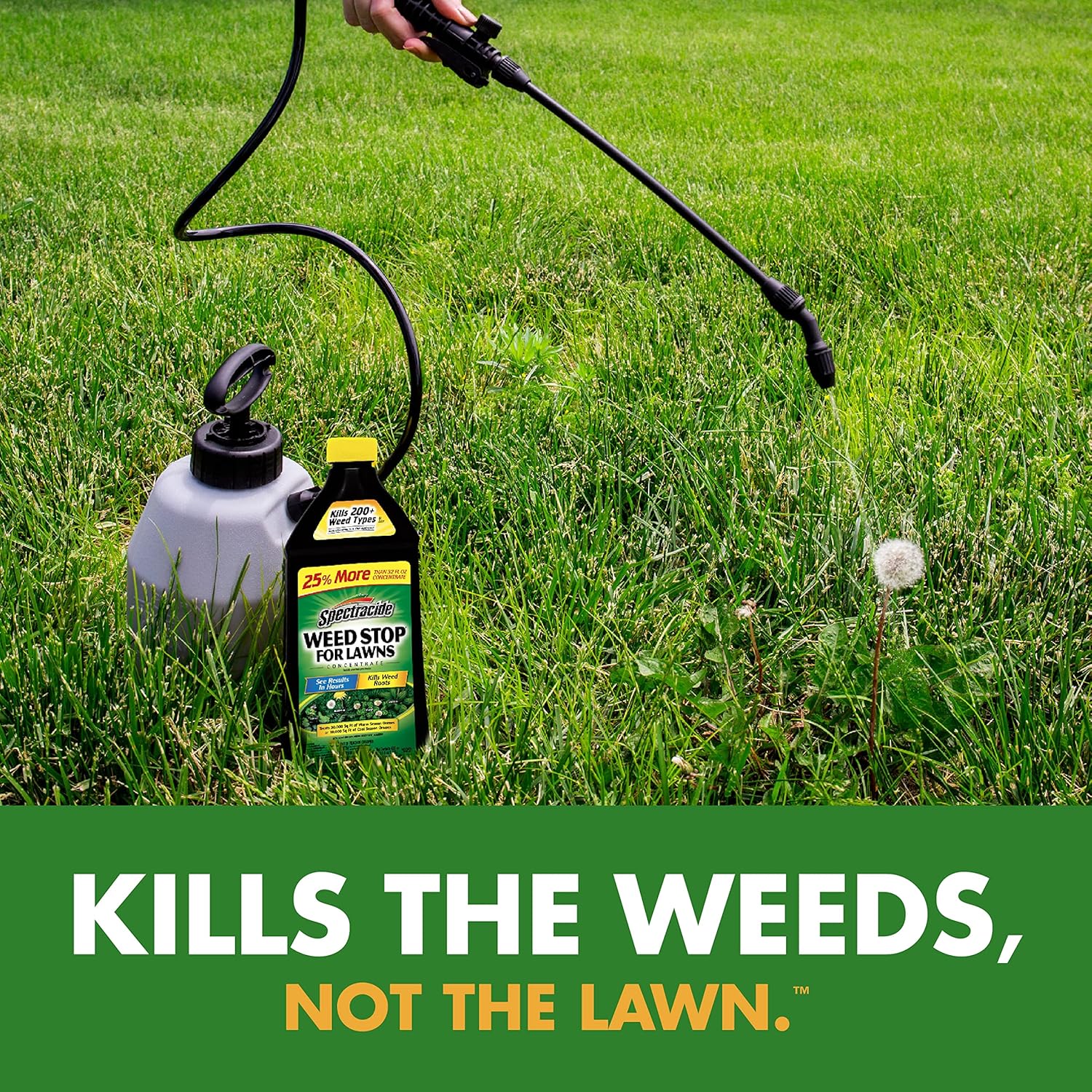 Spectracide Weed Stop - Concentrate Formula Kills Weeds at the Roots | 40 Fl Ounce