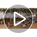 Blue and White Chinoiserie Christmas Ornaments 16 Pack - 3 Inch Holiday Decor