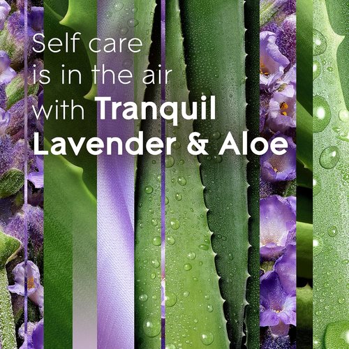 Glade PlugIns Refills Air Freshener - Tranquil Lavender & Aloe | Scented Essential Oils, 10 Count (Pack of 2)