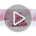 150 Lavender Scented Pink Bow Sanitary Napkin Disposal Bags