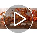 Fall Crochet Pumpkin Coasters Set - 4 Pcs Autumn Drink Protectors in Orange, Brown, Terracotta, Beige