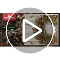 Pre-Lit Artificial Christmas Garland 9 Feet Glittery Mountain Spruce with Pine Cones & Berry Clusters - Indoor Outdoor Decor