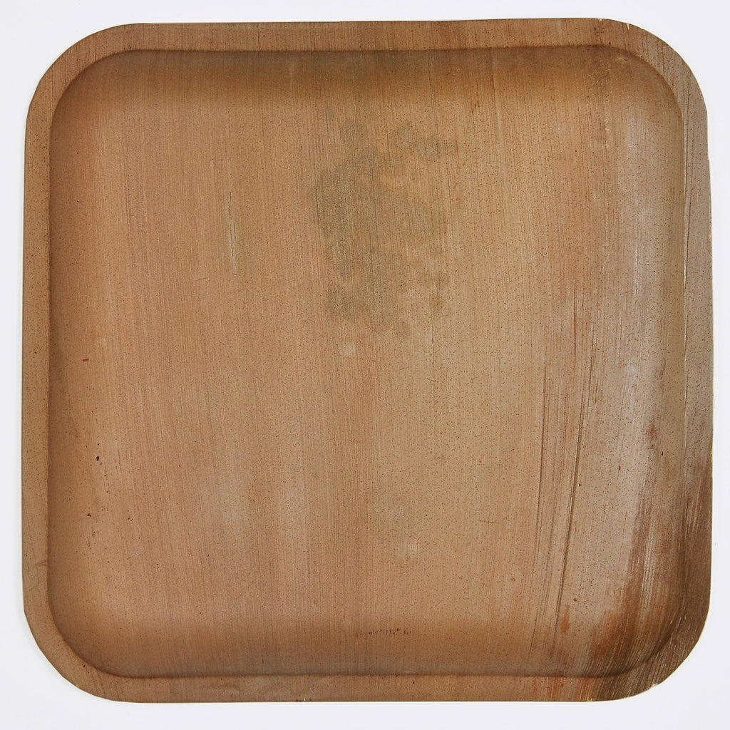 Atmos Green 100 pack 10" Square Palm Leaf Dinner Plate Compostable disposable premium heavy duty Eco-Friendly Microwave Refrigeration safe Bamboo like Wedding Events Party