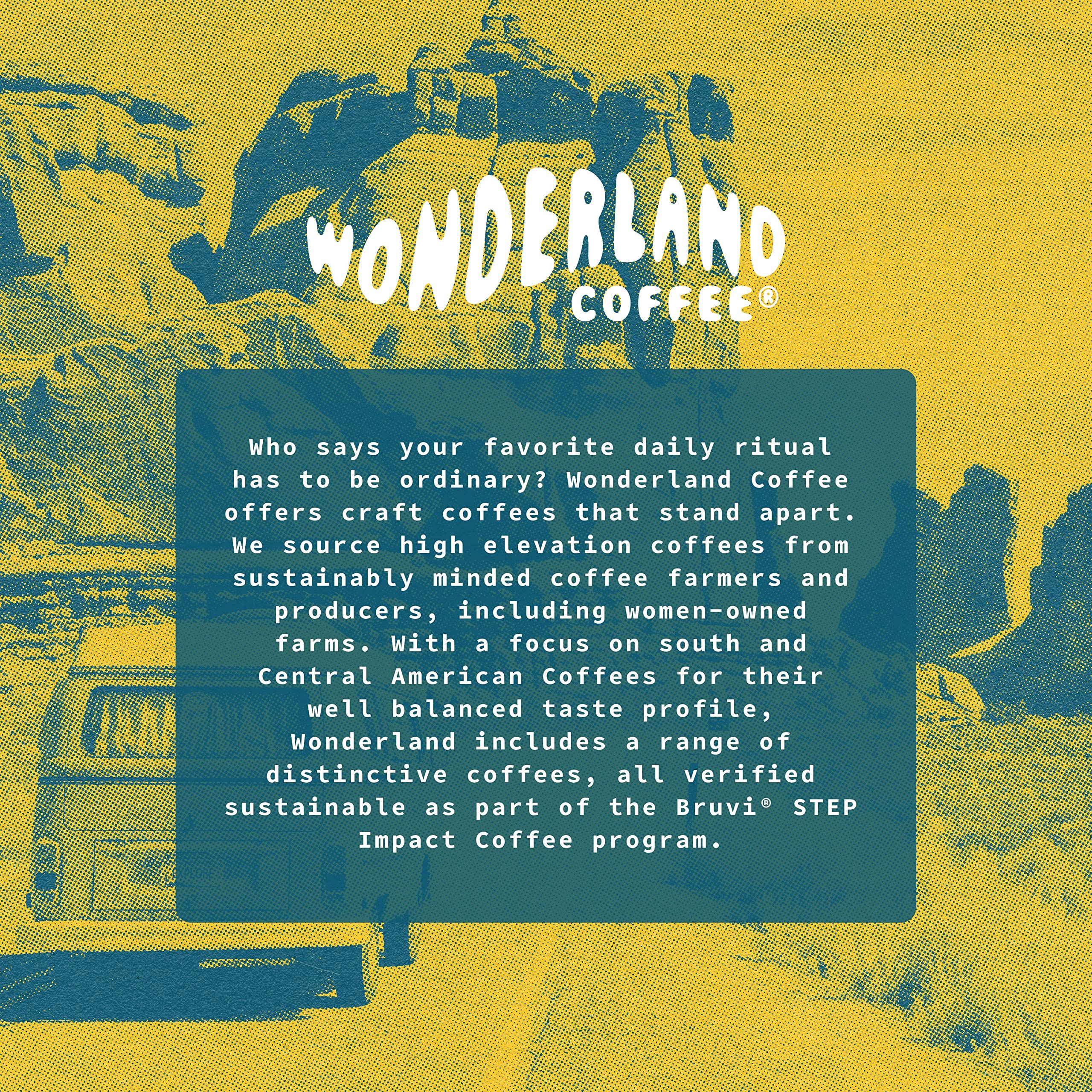 Wonderland Coffee | De La Casa Coffee B-Pods | Only Compatible with Bruvi Single-Serve Coffee Brewer | Includes 60 Pods