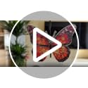 Monarch Butterfly Suncatcher Ornament - Meaningful Gift with Story Card