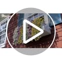 Doxcore 6PCS Artificial Hanging Flowers for Outdoors - Double Purple Silk