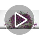 Artificial Flowers for Outdoors - 6 Pcs Deep Purple & Purple Fake Flowers, Weather-Resistant & Realistic Garden Decor