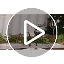 Black Iron Reindeer Figurine for Christmas Centerpieces - Gold Accents